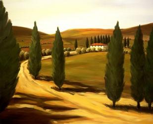 Along a Tuscan Road | Obraz na stenu