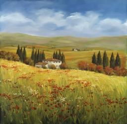Lo Splendor De La Toscana | Obraz na stenu