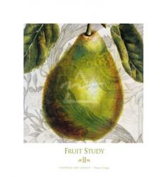 Fruit Study II | Obraz na stenu