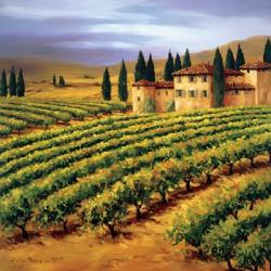 Villa in the Vinyards of Tuscany | Obraz na stenu