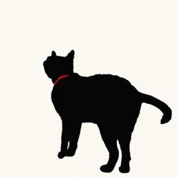 Cat with Red Collar | Obraz na stenu