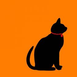 Orange Cat | Obraz na stenu