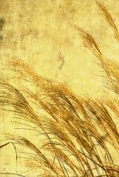 Grass Series I | Obraz na stenu
