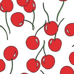 Cherry Delight | Obraz na stenu