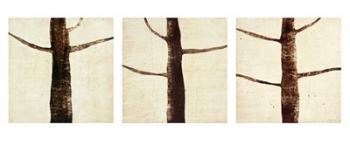Timberline | Obraz na stenu