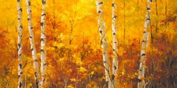 The Splender of Autumn | Obraz na stenu