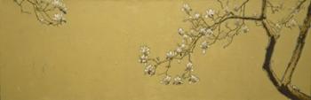 Magnolia | Obraz na stenu