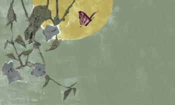 Nocturnal Butterfly | Obraz na stenu
