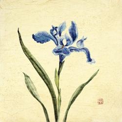 Blue Botanical | Obraz na stenu
