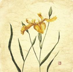 Yellow Botanical I | Obraz na stenu