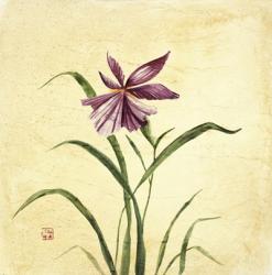 Purple Botanical I | Obraz na stenu