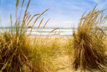 Dune Grass 3 | Obraz na stenu