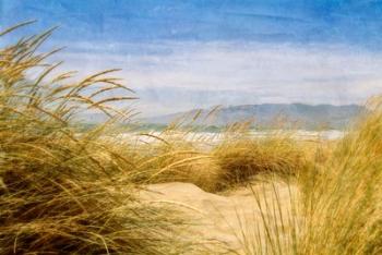 Dune Grass 4 | Obraz na stenu