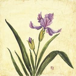 Purple Botanical II | Obraz na stenu