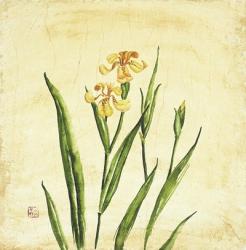 Yellow Botanical II | Obraz na stenu