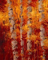 The Magnificent Season of Autumn B | Obraz na stenu