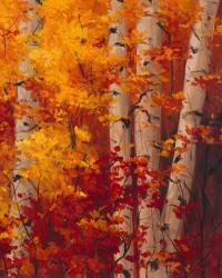 The Magnificent Season of Autumn C | Obraz na stenu