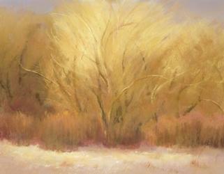 Winter cottonwoods | Obraz na stenu