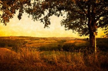 Fields of Tuscany | Obraz na stenu