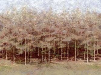 Woodlands | Obraz na stenu