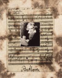 Principles of Music-Beethoven | Obraz na stenu