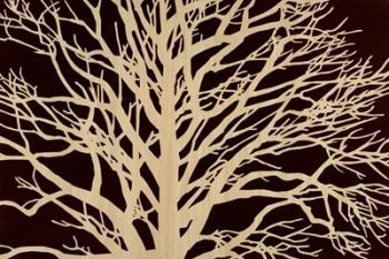 Tree in Sepia | Obraz na stenu