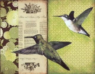 Hummingbirds | Obraz na stenu