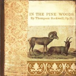 In the Pine Woods | Obraz na stenu