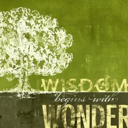 Wisdom Begins with Wonder | Obraz na stenu