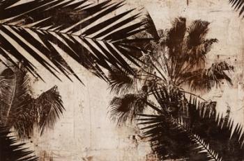 Palms 1 | Obraz na stenu