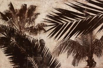 Palms 2 | Obraz na stenu