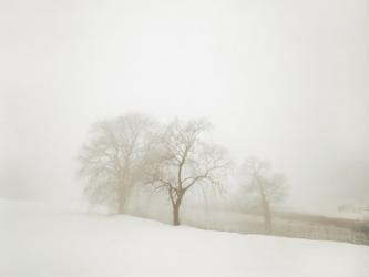 White Fog #1 | Obraz na stenu