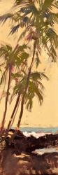 Shoreline Palms | Obraz na stenu