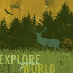Explore Your World 1 | Obraz na stenu