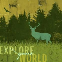Explore Your World 2 | Obraz na stenu