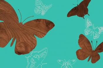 Butterflies 2 A | Obraz na stenu