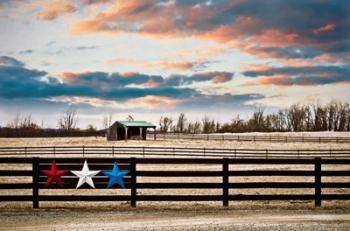 Three Star Farm | Obraz na stenu