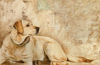A Dog's Story 3 | Obraz na stenu