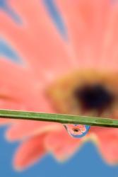 Nature Series 869 | Obraz na stenu