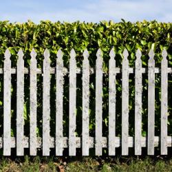 Willapa Fence | Obraz na stenu