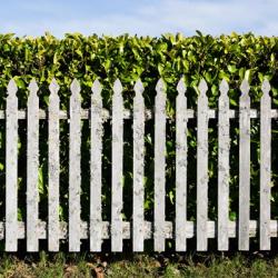 Willapa Fence | Obraz na stenu