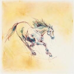 Horse studies 2, Fran Gyn | Obraz na stenu