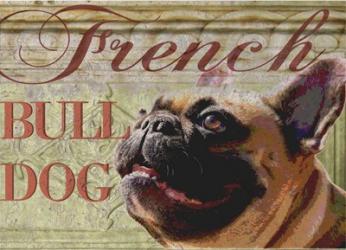 French Bulldog | Obraz na stenu