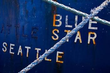 Blue Star Seattle | Obraz na stenu