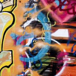 Graffiti Study 6 | Obraz na stenu