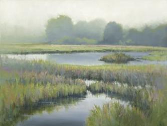 Morning at Edmonds Marsh | Obraz na stenu