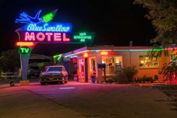 Neon Blue Swallow Motel | Obraz na stenu