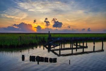 Marsh Sunrise | Obraz na stenu