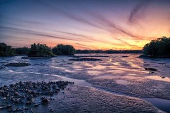 Low Tide At Cedar Key | Obraz na stenu