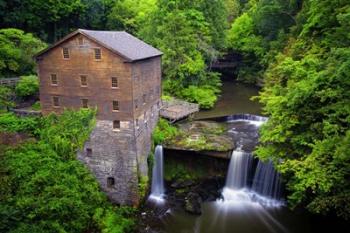 Lanternman's Mill | Obraz na stenu